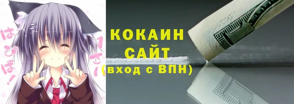 стафф Заводоуковск