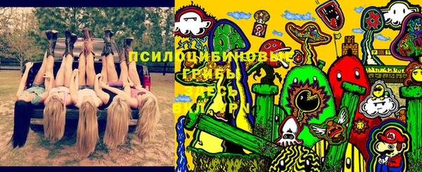 амф Заволжск