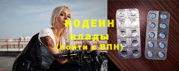 стафф Заводоуковск
