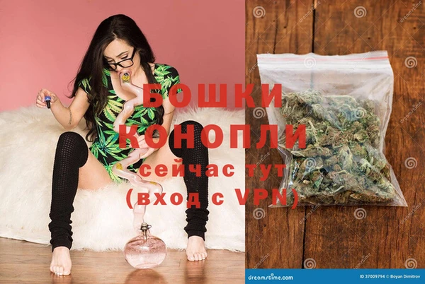 стафф Заводоуковск