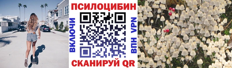 Купить  Ялуторовск  Псилоцибиновые грибы ЛСД 